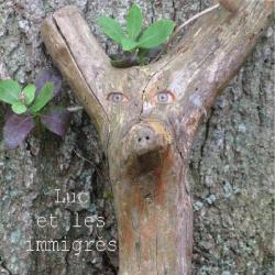 Luc Blanvillain &ndash; Luc et les immigr&eacute;s artwork
