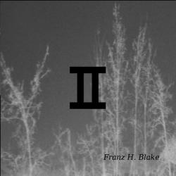 Franz H. Blake &ndash; II artwork