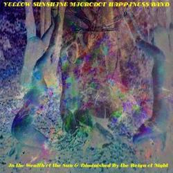 YSMHB &ndash; In the Wealth of the Sun &amp; Diminished By the Reign of Night artwork