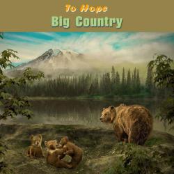 To Hope &ndash; Big Country artwork
