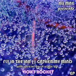 All May &ndash; Gather My Mind / Fly in the Jar artwork