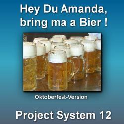 Project System 12 &ndash; Hey Du Amanda bring ma a Bier artwork