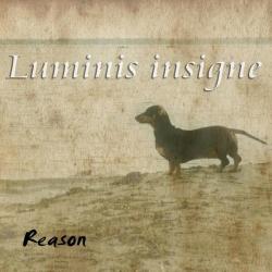 Luminis Insigne &ndash; Reason artwork