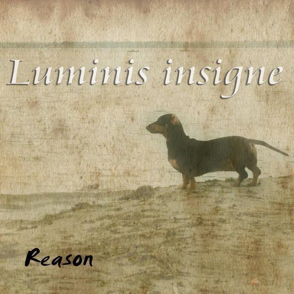 Luminis Insigne &ndash; Reason
