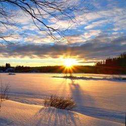 Piano Dreamer &ndash; Winterfarben artwork