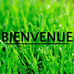Dropz &ndash; Bienvenue artwork