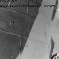 Parallel Dream &ndash; How to survive to something hidden somewhere artwork