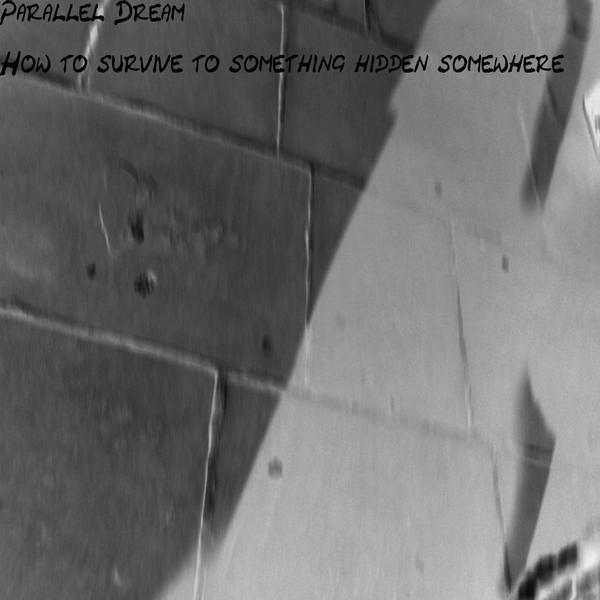 Parallel Dream &ndash; How to survive to something hidden somewhere