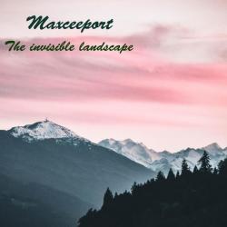 Maxceeport &ndash; The invisible landscape artwork