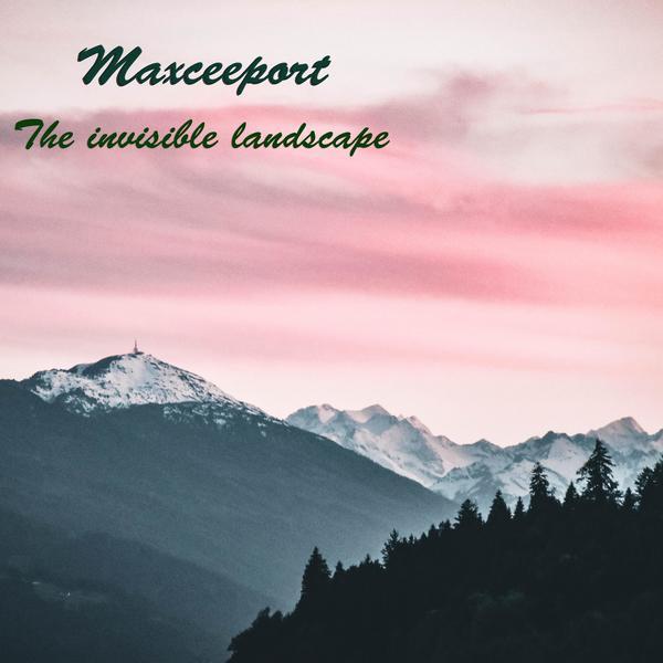 Maxceeport &ndash; The invisible landscape