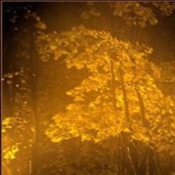 Boris Lazarev &ndash; Autumn artwork