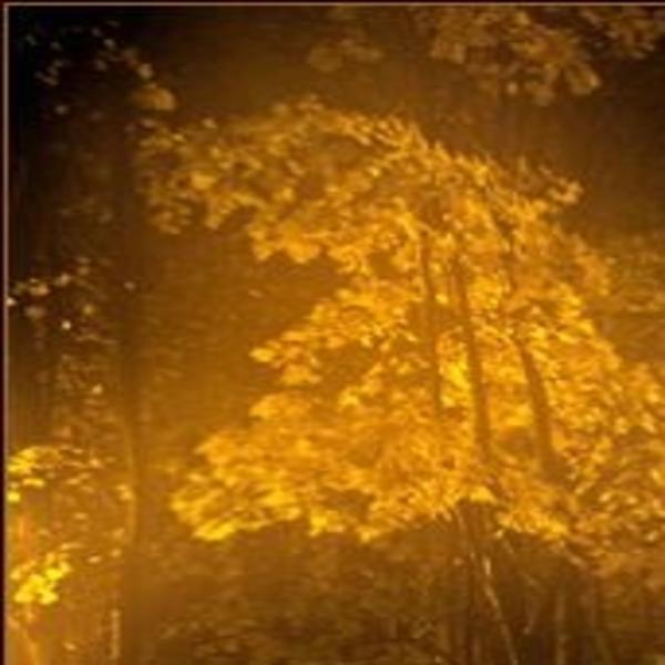 Boris Lazarev &ndash; Autumn