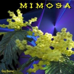 Guy Berrier &ndash; MIMOSA artwork