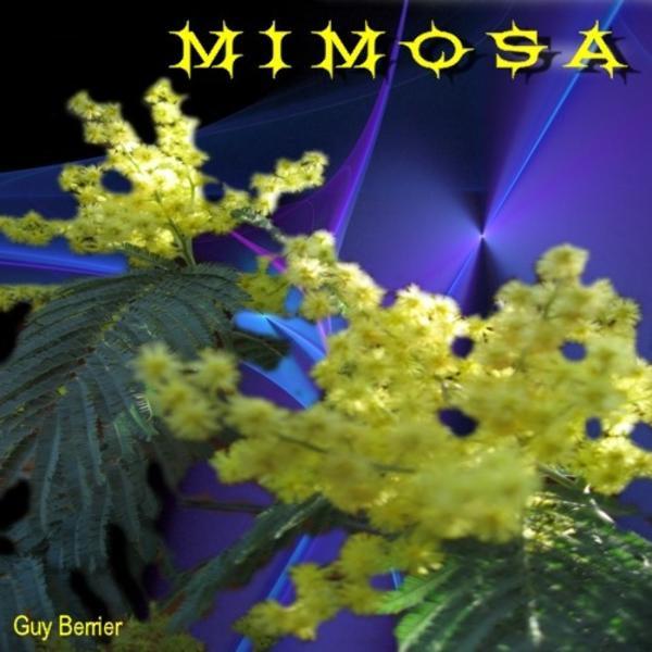 Guy Berrier &ndash; MIMOSA