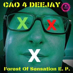 Universocao Music Department &ndash; Cao 4 Deejay - Forest Of Sensation artwork