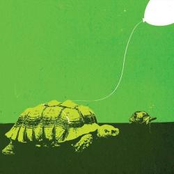 Homeless Balloon &ndash; Hurry Slowly artwork