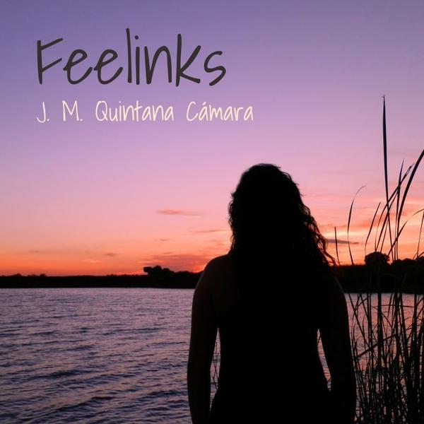 J. M. Quintana C&aacute;mara &ndash; Feelinks