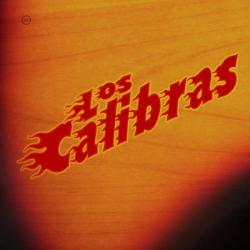 Los Calibras &ndash; Los Calibras artwork