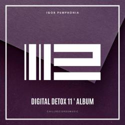 Igor Pumphonia &ndash; Digital Detox 11 artwork
