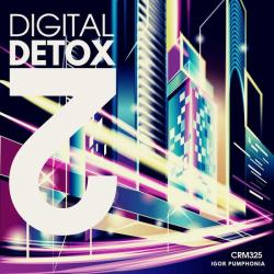 Igor Pumphonia &ndash; Digital Detox 2 artwork