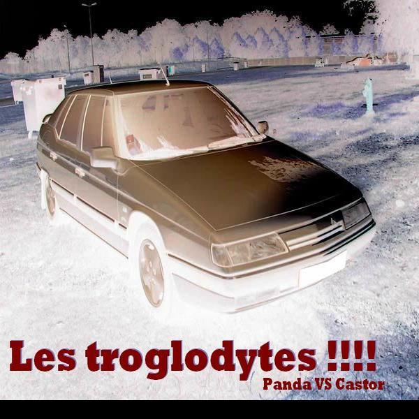 les troglodytes of alabama &ndash; panda vs castor
