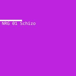Noise Research Group &ndash; NRG 01 Schizo artwork