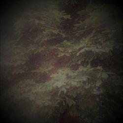 Rune X -Natural Northern Darkness- &ndash; &Oacute;&eth;inn (EP 2023) artwork