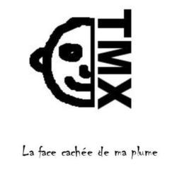 David TMX &ndash; la face cach&eacute;e de ma plume artwork