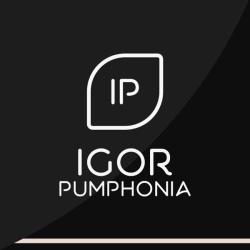 Igor Pumphonia &ndash; Doing It Right artwork