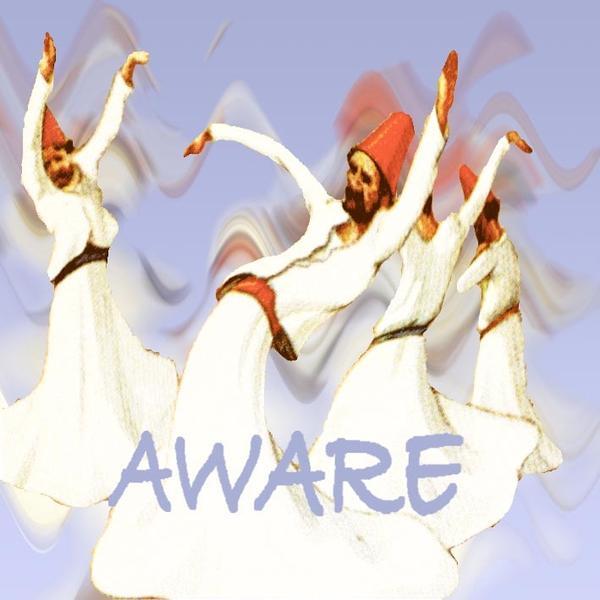 Hans Vos &ndash; Aware