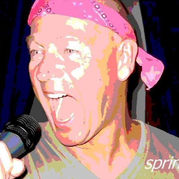 Mikael Springler &ndash; Variations