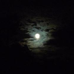 Cesars &ndash; Moonlight artwork