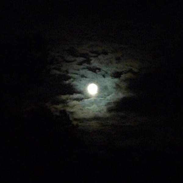 Cesars &ndash; Moonlight