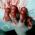 Bloody Fingers artwork