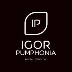 Igor Pumphonia &ndash; Digital Detox 14 artwork