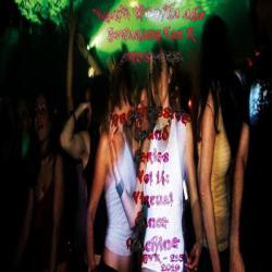 Howarang Van K &ndash; Progressive Sound Series Vol 14 - Virtual dance machine artwork
