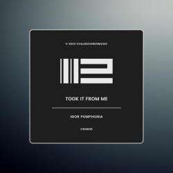 Igor Pumphonia &ndash; Took It From Me artwork