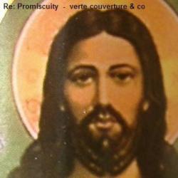 Verte couverture &ndash; Re: Promiscuity artwork