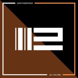 Igor Pumphonia &ndash; All you feel artwork