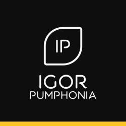 Igor Pumphonia &ndash; Twilight (Disco Version) artwork