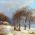 BACH Trio Sonata No.2 BWV 526 / Piano - Complete artwork