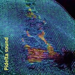 Pidelta sound &ndash; Detexturing my life artwork