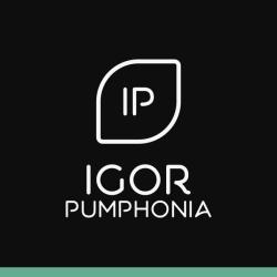 Igor Pumphonia &ndash; The Simulator artwork
